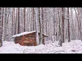 Download Lagu 11 dagen bouwen van een schuilkelder, bush cabin, solo overnachting, herfst - winter