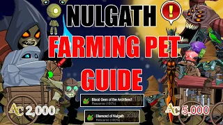 aqw nulgath farming pet guide