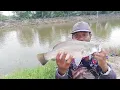 Download Lagu di bukak perdana dada an kolam bang awal kampung nelayan blok J minggu tgl 29 Juni 2025