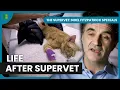 Download Lagu Revisiting The Supervet's Toughest Cases | The Supervet: Noel Fitzpatrick Specials | Banijay Wild