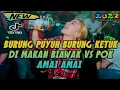 Download Lagu Dj Burung Puyuh Burung Ketuk Dimakan Biawak Vs Pok amai amai belalang Kupu Kupu Remix 2022 Full bass