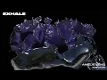 Amelie Lens - Breathe