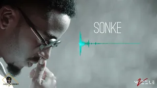 mvzzle sonke feat mthandazo gatya u0026 dj nelcee visualizer 