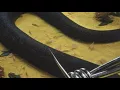 Post Malone-rockstar ft 21 Savage Clean