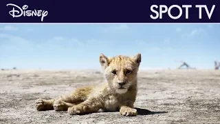 Le Roi Lion - Spot TV : "Pas de souci" VF
