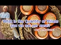 Download Lagu What is the Quantity of Millets can we eat per meal || Is there any limitations?|Dr Khadar lifestyle