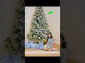 Download Lagu Jennie’s Christmas tree through the years!! 🎁😆 #blackpink #jennie