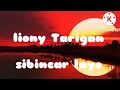 lirik| lagu Karo 2022 liony tarigan sibincar layo ( with lyrics)