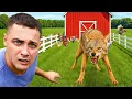 Download Lagu I Found The Predator Trying To Attack My Animals…