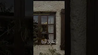 من أعذب تلاوات الشيخ محمد ايوب Quran 