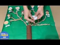 Download Lagu Cómo hacer un árbol genealógico con materiales reciclados - Recuerdo del Festival de la Familia 2