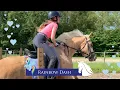 Download Lagu 4e pony kijken -pony kopen- * Hart voor Paarden *