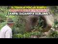 Download Lagu Viral !! Awalnya Dikira Batu Setelah Mendekat Ternyata Orang Bertapa Sampai Berlumut Didalam Batu
