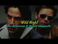Wild Night - John Mellencamp ft. Meshell Ndegéocello【和訳】