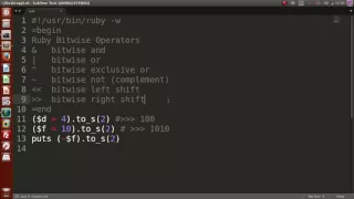 09 - Ruby basics Bitwise Operators