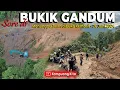 Download Lagu Menunggu jalan dibuka kembali - Sore di Jalan Bayang Alpa