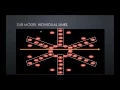 Creating and Sequencing Submodels in xLight Part 2