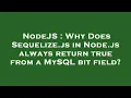 NodeJS Why Does Sequelize js in Node js always return true from a MySQL bit field