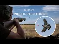 Download Lagu Decoying Pigeons (ShotKam Gen 3 Videos)
