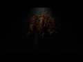Diffusion Limited Aggregation Variants in Unity