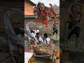 Download Lagu OGOH - OGOH MINI DENPASAR BALO TAHUN BARU CAKA 1945