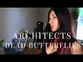 Download Lagu DEAD BUTTERFLIES - ARCHITECTS (Cover by AURUM)