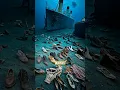 Download Lagu Why No Human Bones in Titanic?