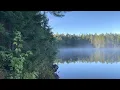 Download Lagu Morning wolf howl in Algonquin Park
