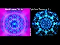 Download Lagu THE HIDDEN PROGRAMMING OF THE UNIVERSE-FLOWER OF LIFE-SOLFEGGIO-FREQUENCY OF EMOTIONS