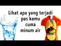 Download Lagu Efek Apa Aja yang Akan Kamu Rasakan kalau Kamu Cuma Minum Air Putih?