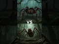 BATTLE OF THE SCARIEST SPIDERS Black Widow Wolf Spider Camel Spider