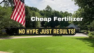 CHEAP FERTILIZER GREAT RESULTS Walmart Expert Gardener 30-0-4