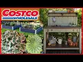 Costco SUCCULENT shopping POTTING Bench GARDEN Beds Moody Blooms