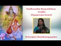 Lagu 1306. Nadhasudha Rasambilanu - Thyagaraja Swami - Arabhi - Sriranjani Santhanagopalan 