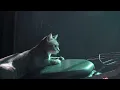 Falling Back - Myrne, Shallou (Pote P. Music Video)