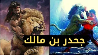                                                                                            دندنها
