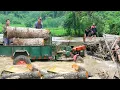 Download Lagu Trung Family Life - Day 14: Rainstorm Hits the Village 🌧️, Building a Bamboo Bridge Across the River
