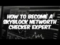 How To Become A Skyblock Networth Checker Expert