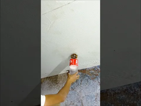 Desi Jugaad to remove bees 😱