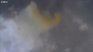                  دندنها
