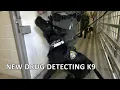Meet Gregor The new drug detecting K9 enhancing safety in Clackamas County