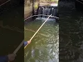 Pasang perangkap ikan yang mempesona #fishing #fish #netfish