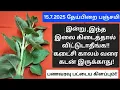 Download Lagu 15.7.2025:நாளை இந்த இலையை இப்படி பயன்படுத்துங்க!!இதுவரை இல்லாத பொருளாதார முன்னேற்றம் நிச்சயம்!