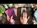 THEIR energy and How THEY are feeling about YOU! 🪶🪽🐦‍⬛ PICK A FEATHER 🐦‍⬛🪽🪶 TIMELESS READING 🪶🪽🐦‍⬛