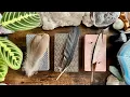 THEIR energy and How THEY are feeling about YOU PICK A FEATHER TIMELESS READING