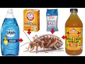 Download Lagu How to Get Rid of FLEAS FAST \u0026 NATURALLY (Baking Soda, Dish Soap, Apple Cider Vinegar, Salt, etc)