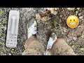 Reshoevn8r Stain Repellent Test On White Adidas Ultraboost