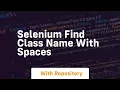 selenium find class name with spaces