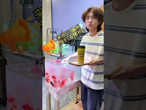 this guy dropped a shampoo bottle in the aquarium