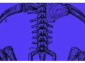 Getting Started with Backbone Introduction
